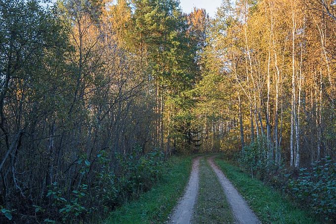 Kuressaar. Emajõe Suursoo 