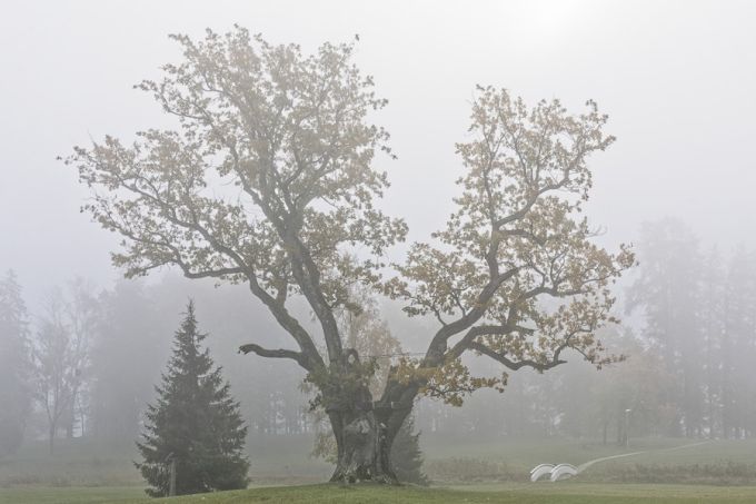 Pühajärve Sõjatamm