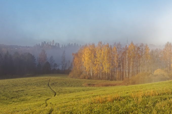 Porikuuhommik. Otepää 