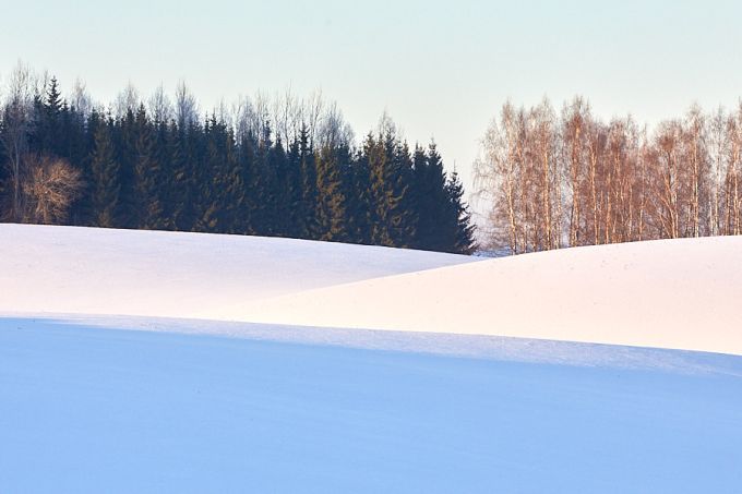 Tuulemägi. Laguja