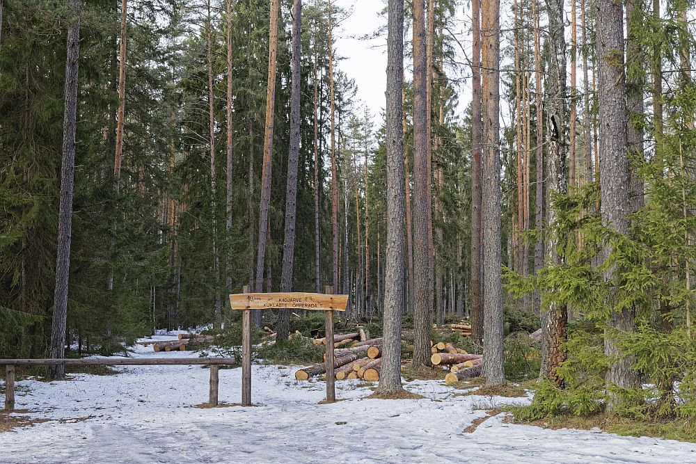 kuklaste kuningriik Kiidjärvel