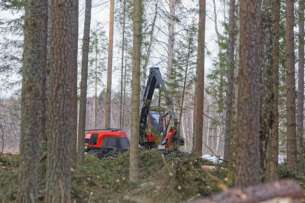 kuklaste kuningriik Kiidjärvel
