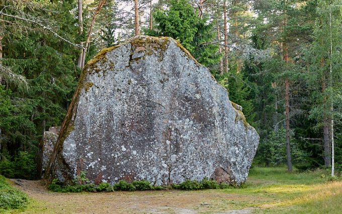 Tammispea suurkivi
