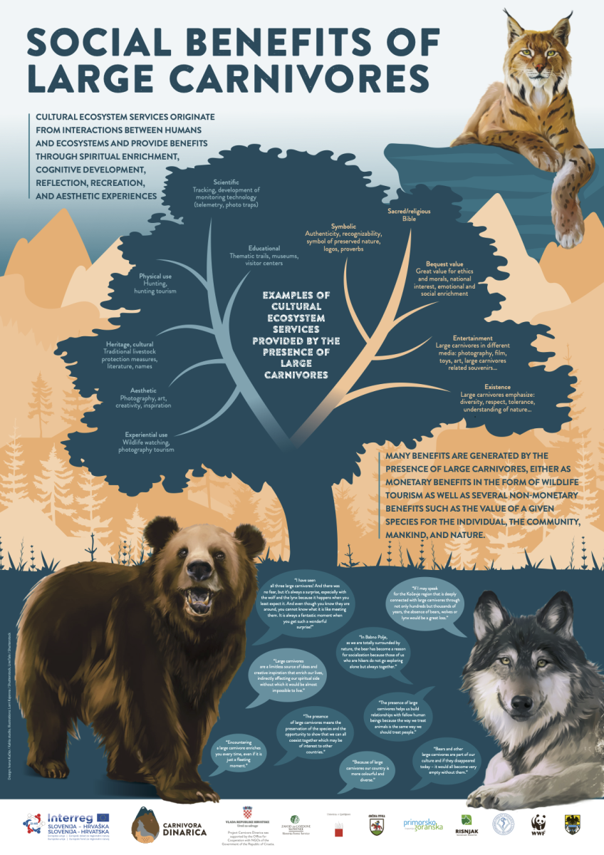 Sloveenia plakat suurkisjate rolli kohta