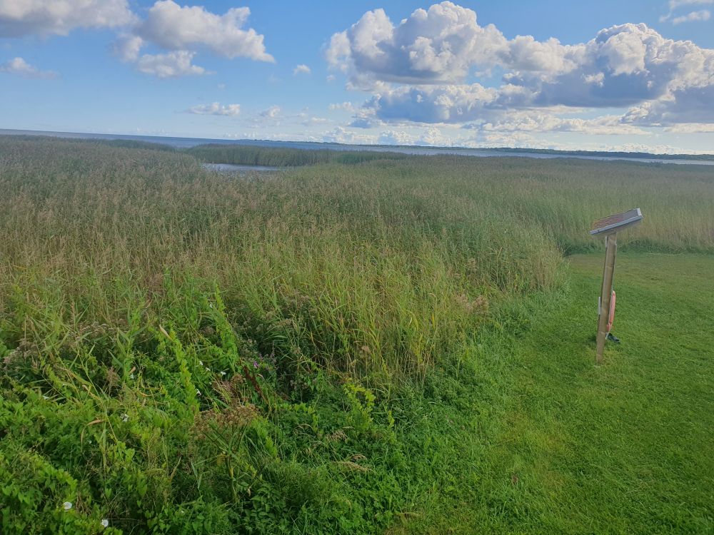 Vesi on tavpärasest palju kõrgem 