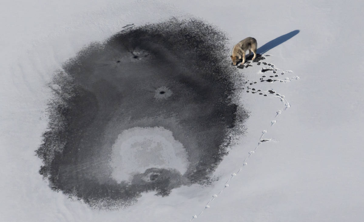hunt kukkus läbi jää
