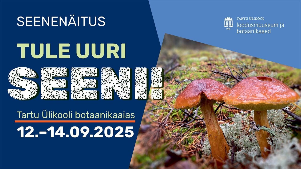 Tartu Ülikooli botaanikaaia seenenäitus