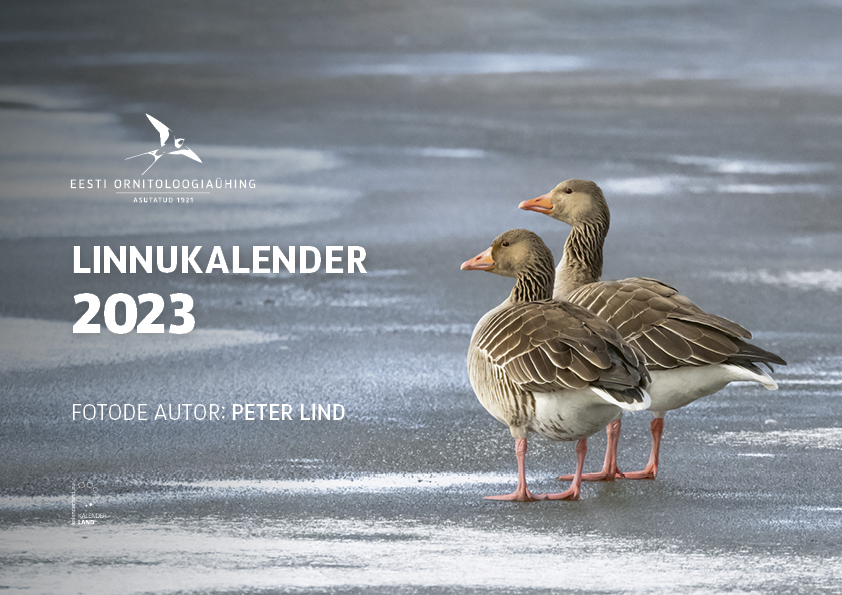 linnukalender