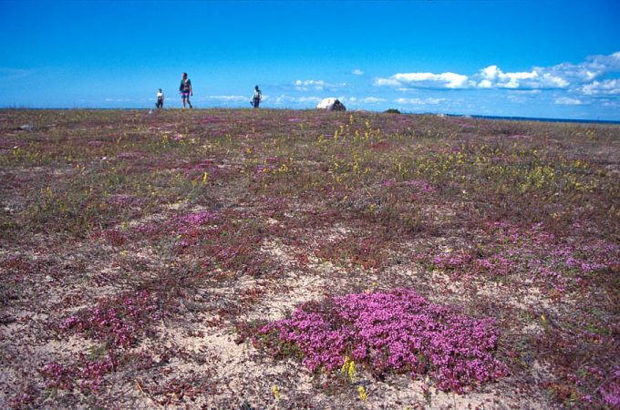 Kihnu rand