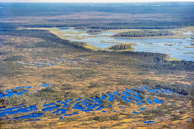 Endla soostik ja Endla järv