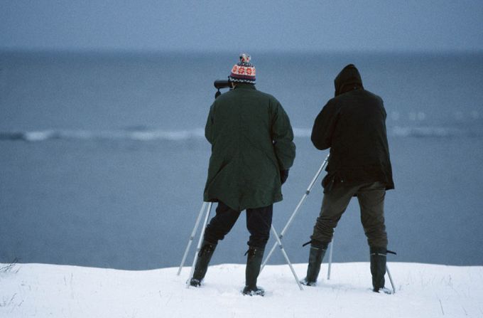 Llinnuvaatlus Panga pangal. Saaremaa