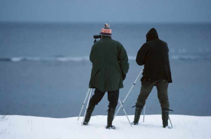 Linnuvaatlus Panga pangal. Saaremaa