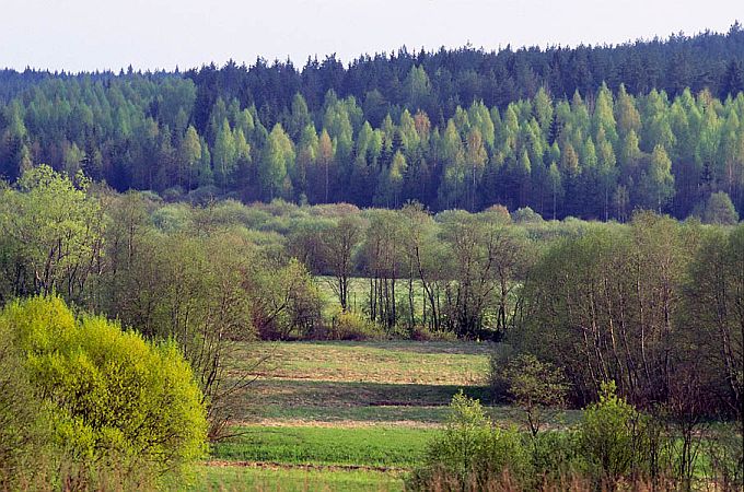 Väike-Emajõe lamm Tõllistes