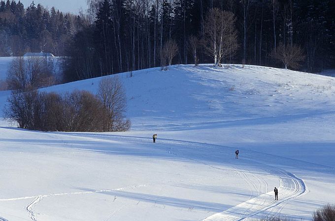 Nüpli maastik. Otepää looduspark