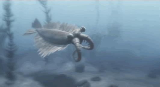 Tekkisid ka selgesti eristatavad kiskjad, kes peamiselt toitusid ülejäänudest loomadest, nendest kõige müstilisema välimusega oli näiteks Anomalocaris’te perekonna esindajad