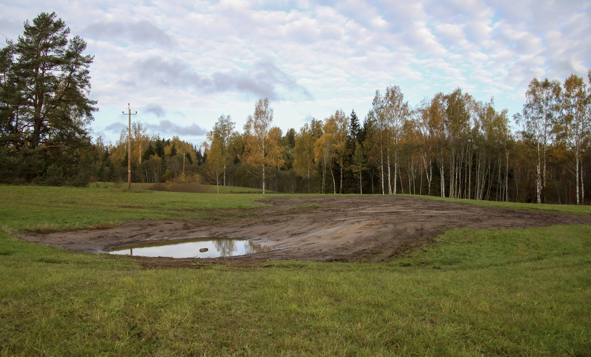 Arula. Foto: Merili Lillemets