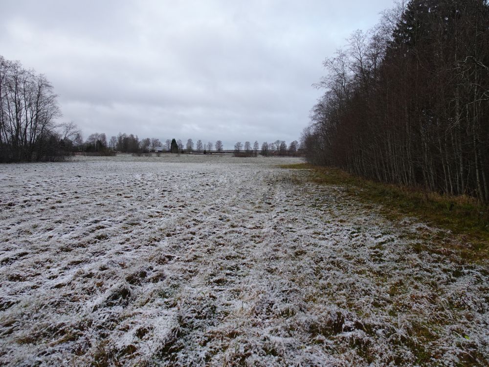 Lumine maastik reede keskpäeval