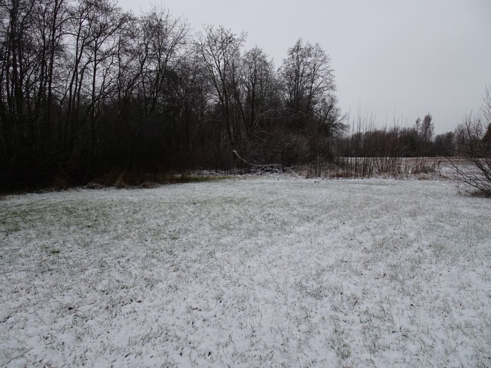 Reedene lumesadu muutis maa mõneks tunniks valgeks