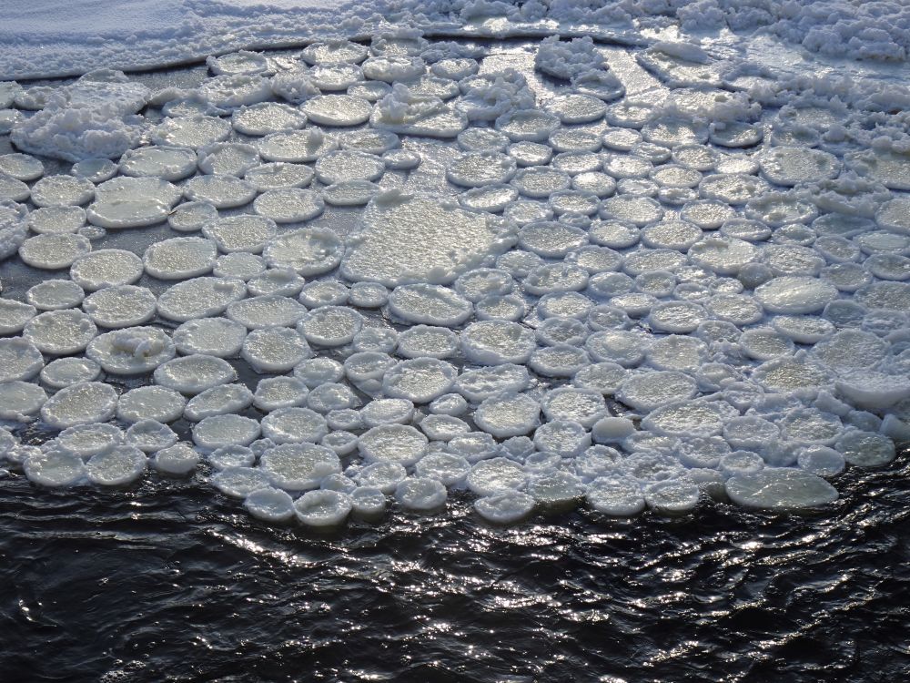 Taldrikjää Jõgeva aleviku paisu all