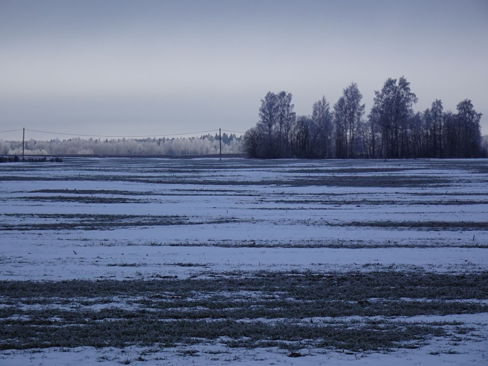 Põllud olid õhtuks laigulised