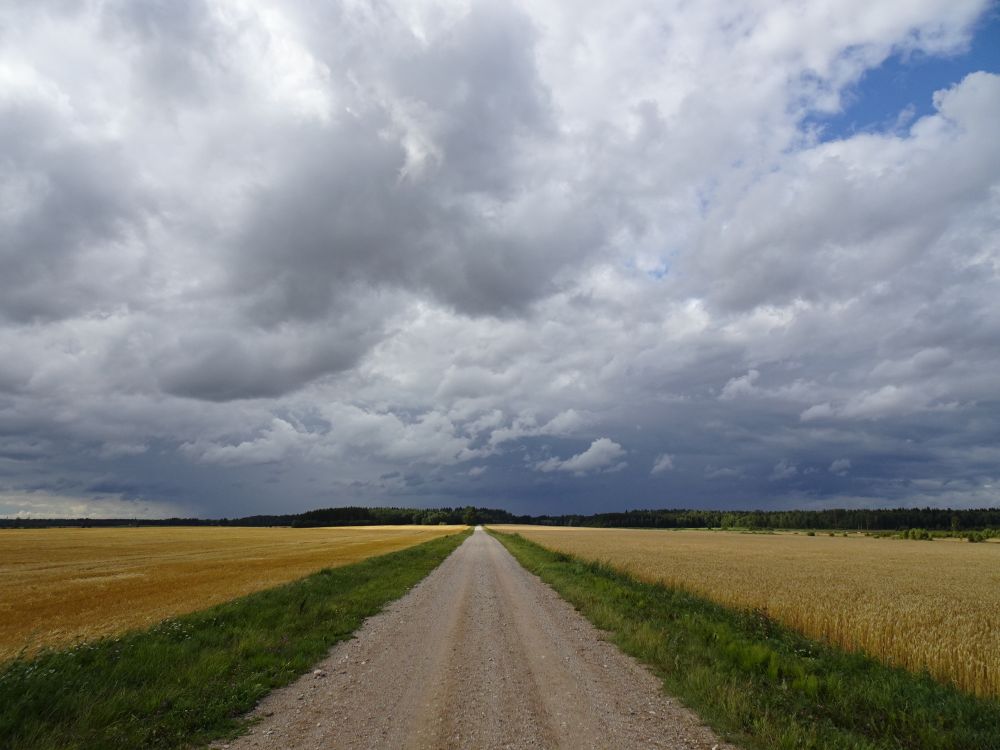 Vihmad lõpetasid põua