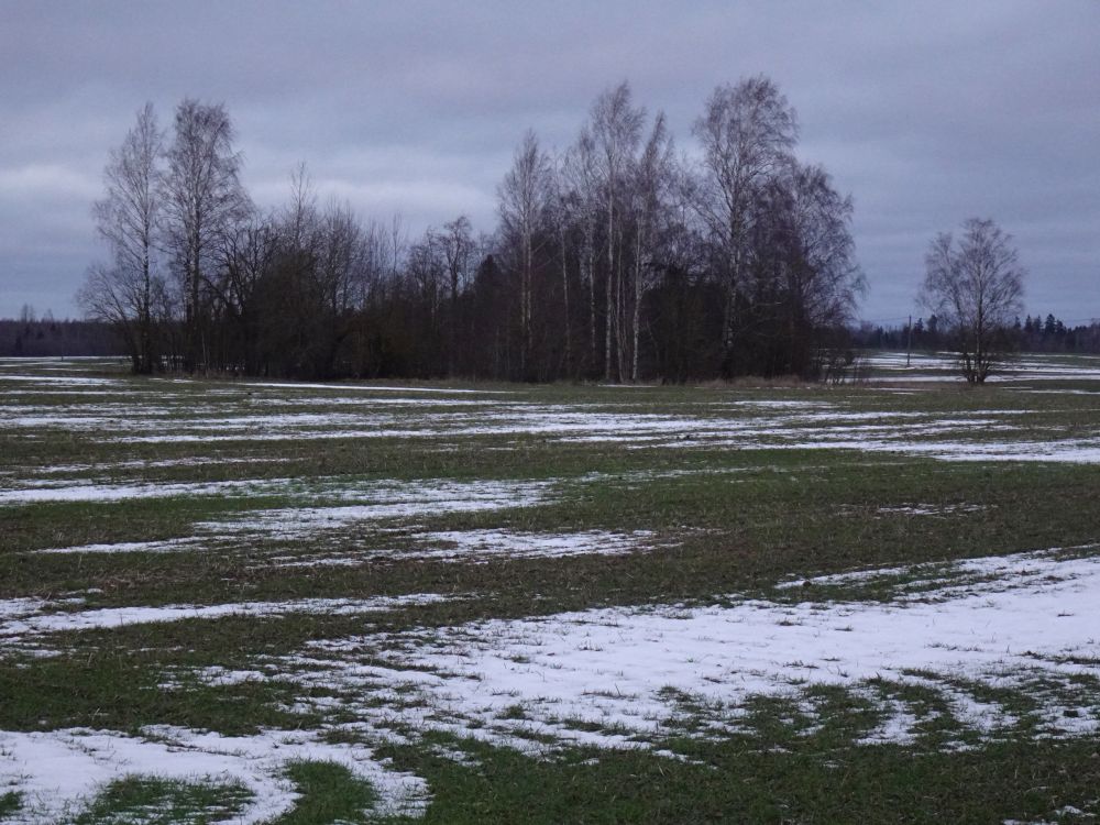 Varjulistes kohtades reedel õhuke lumikate säilis