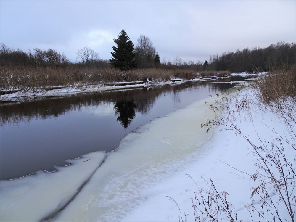 Kallasjääga Pedja jõgi