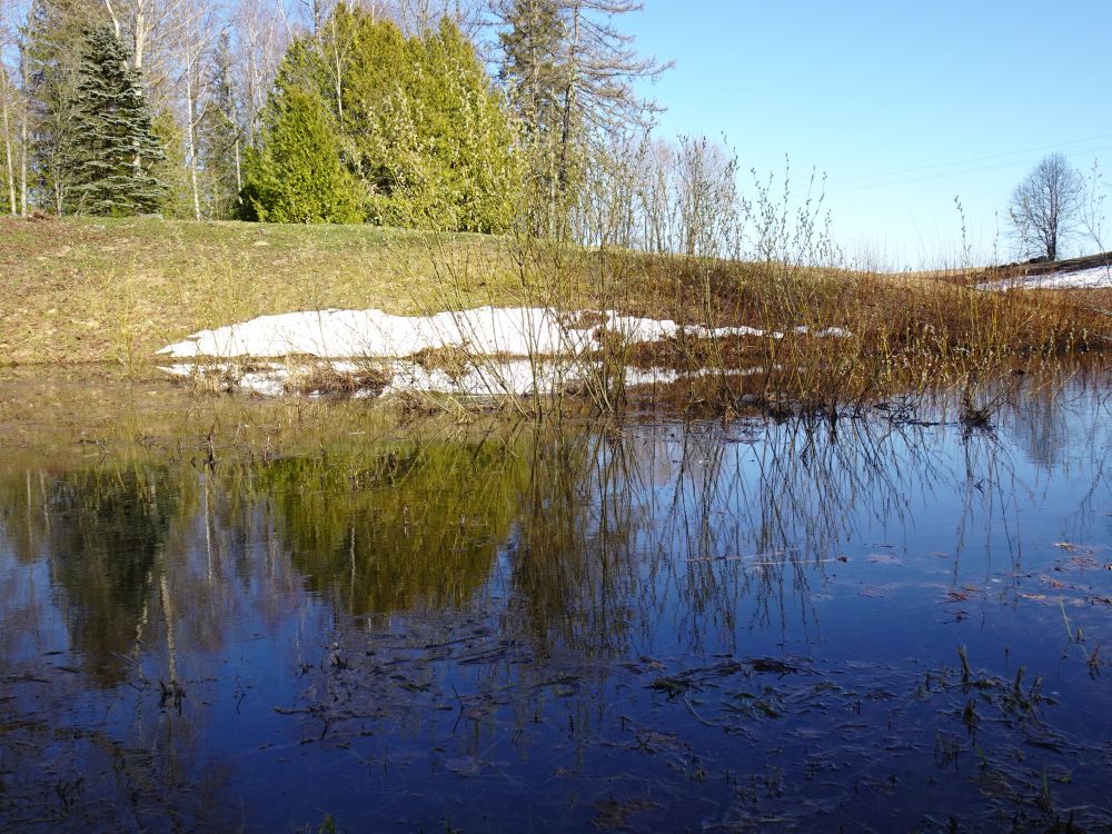 16. NÄDAL 18.4.2022.- 24.4.2022. Jõgeval ja selle ümbruses ...