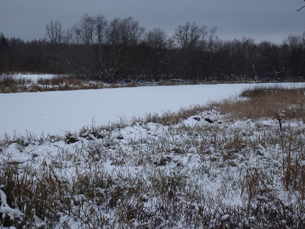 Jõgeva veskijärv oli jäätunud