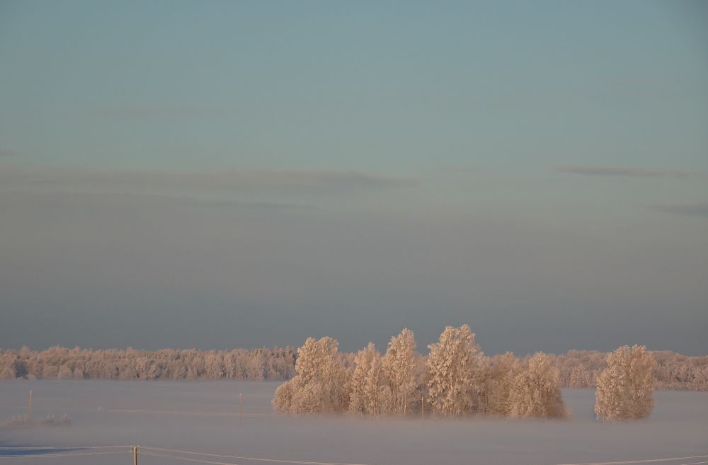 Külm laupäeva hommik