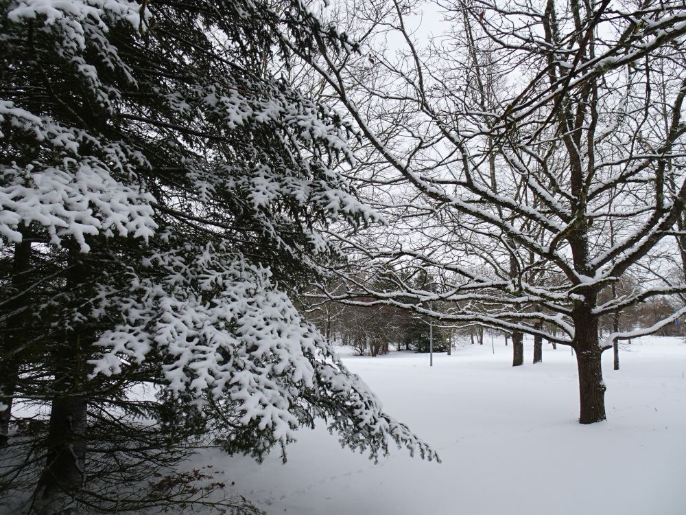 Lumine Piiri park laupäeval