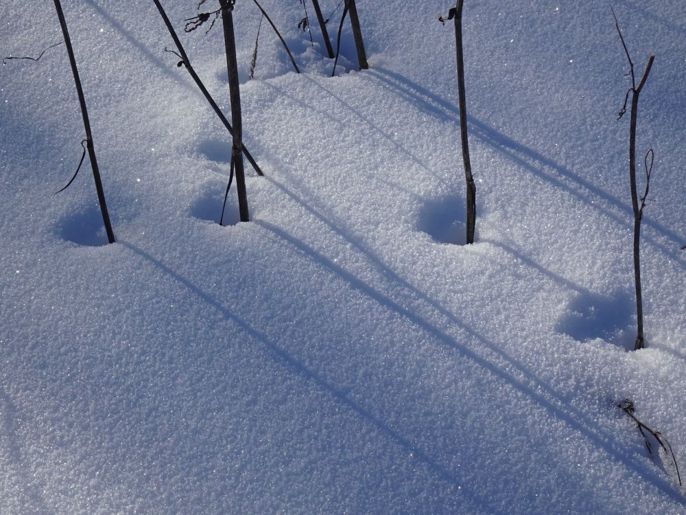 Kõrte lähedusse sulasid augud