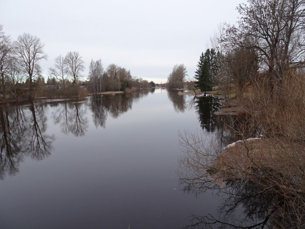 Nädala alguses oli veetase Pedja jões kõrge