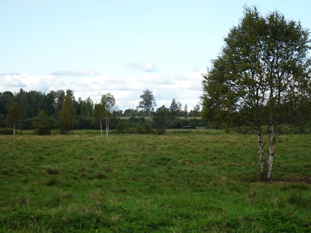 Kultuurkarjamaa Tooma külas