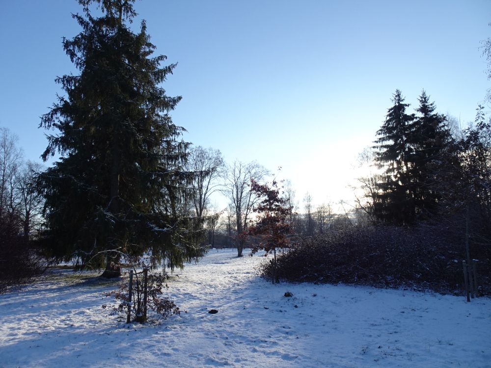 Piiri park kolmapäeval