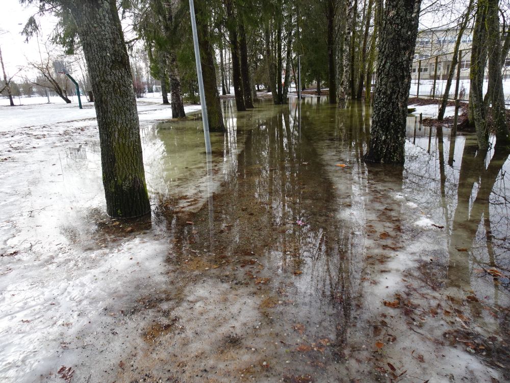 Laupäeval jäid mõned pargiteed vee alla