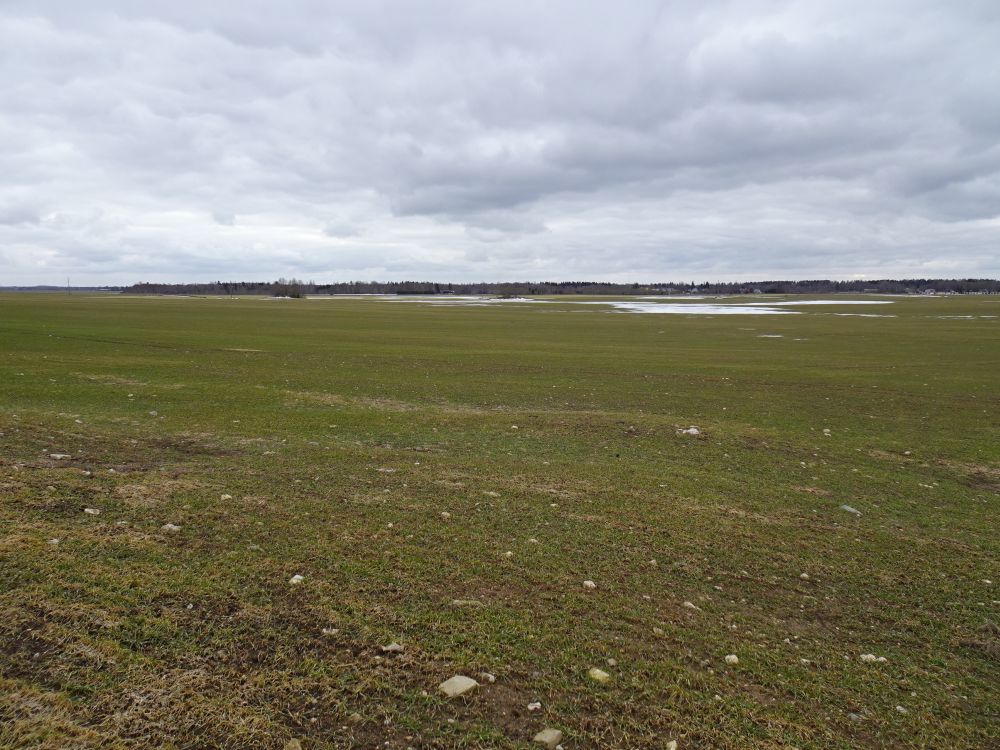 Taliteraviljapõldudel esines veel jäälaike