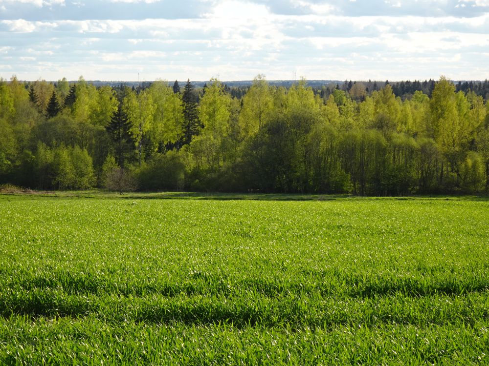 Vaade Laiuse mäelt reedel