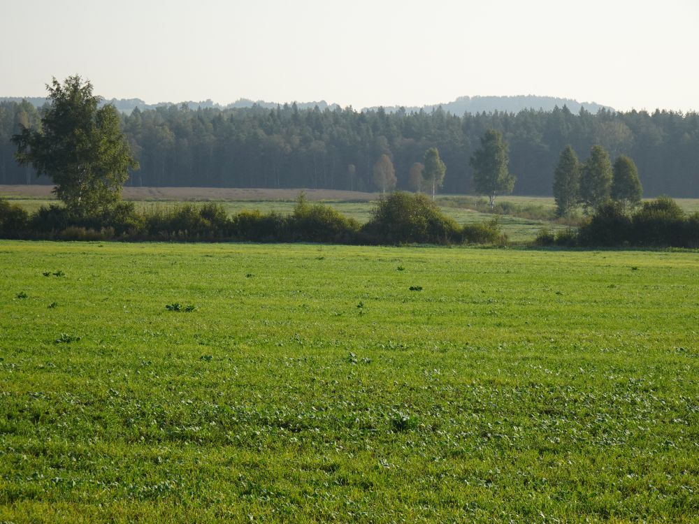 Reede hommik kuuma päeva eel