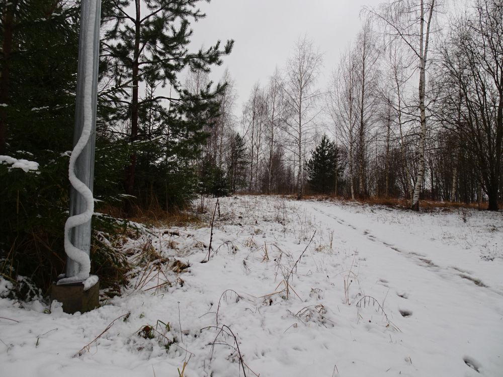 Esimene lumikate kolmapäeval