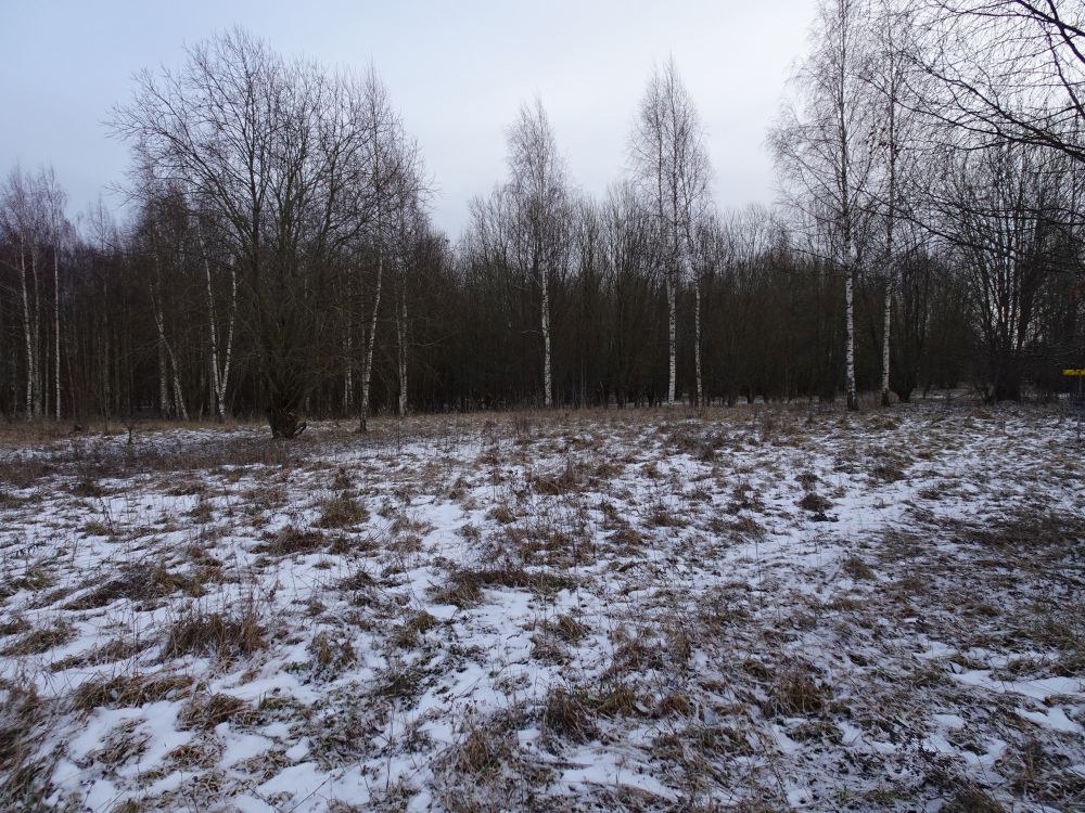Laupäeval võis lund näha vaid üksikutes varjulistes kohtades