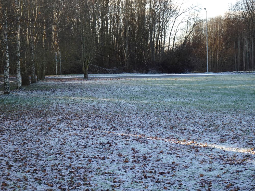 Esimene õhuke lumikate