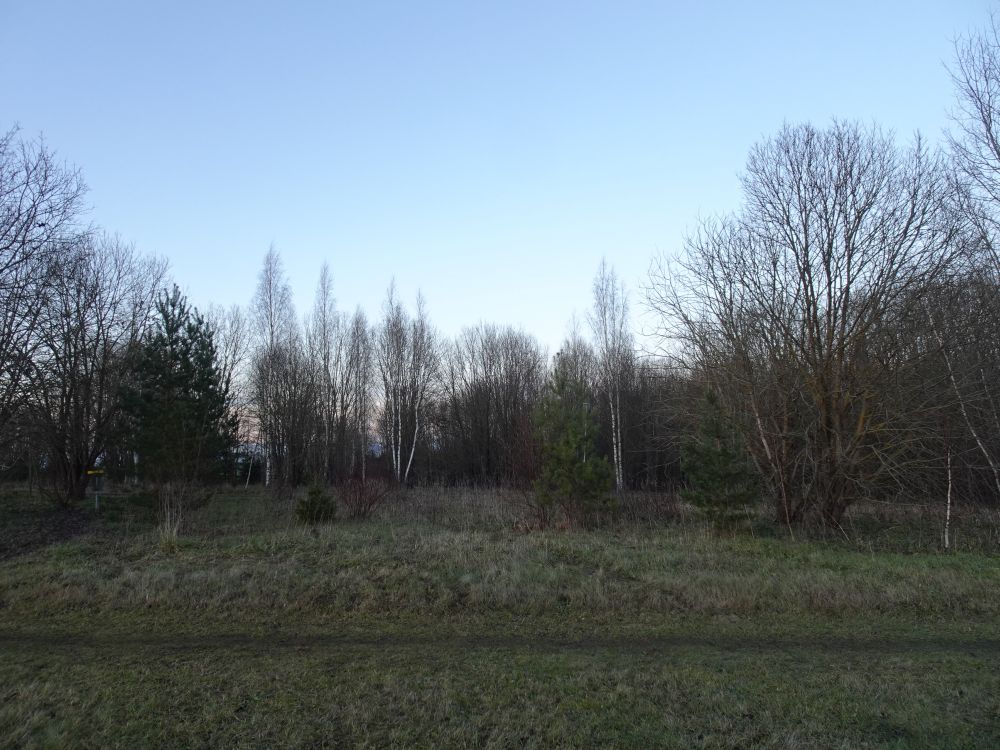 Pühapäev oli soe ja lumeta