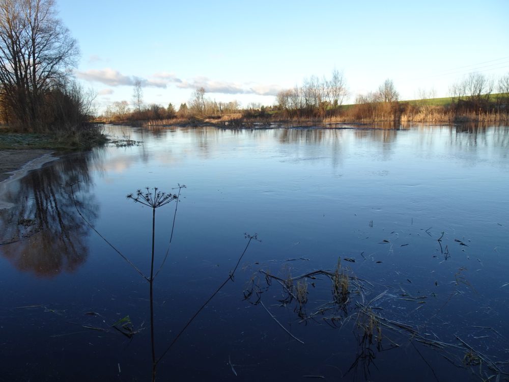 Pedja jões oli vesi kõrgel