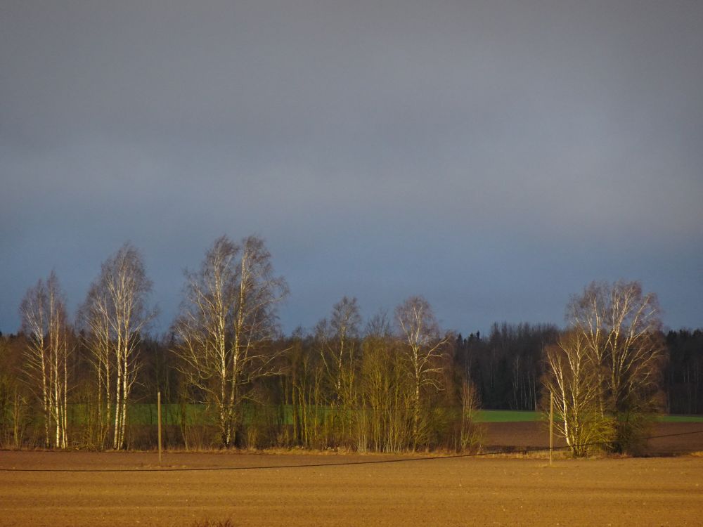 Pühapäeval paistis pilvede vahelt korraks päike ja muutis ümbruses värvid säravaks