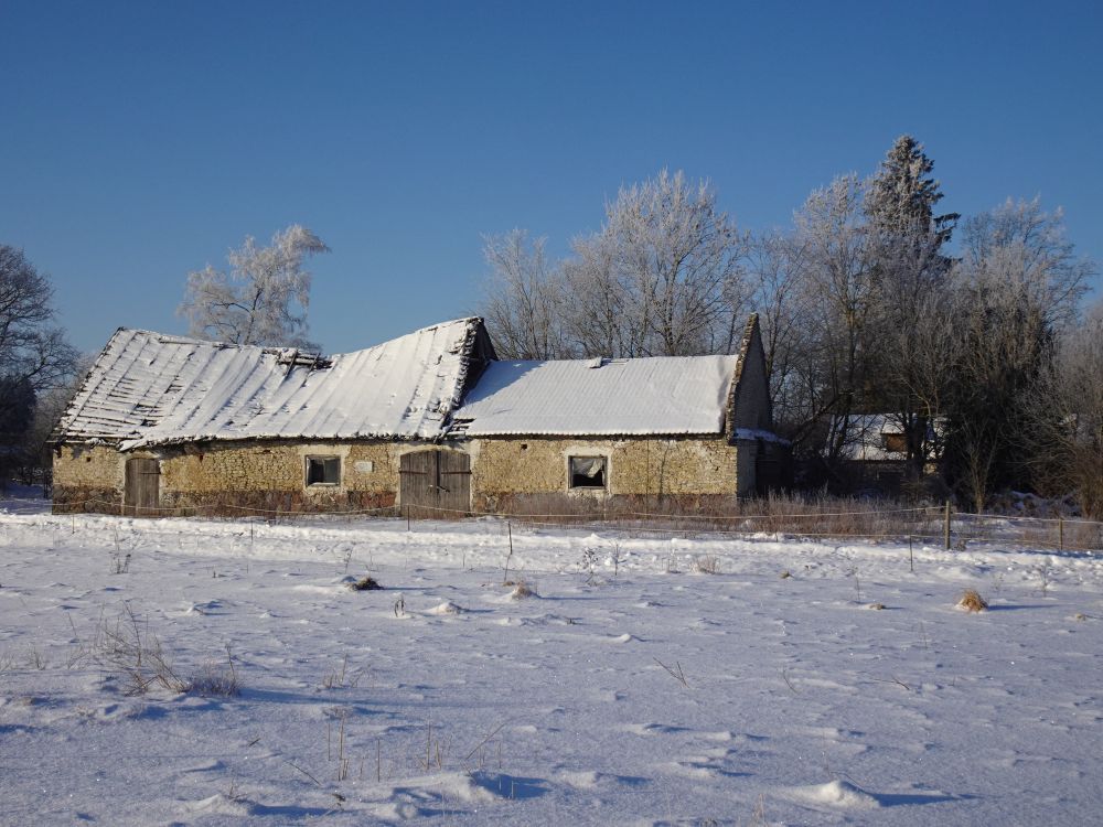 Talv Ellakvere külas