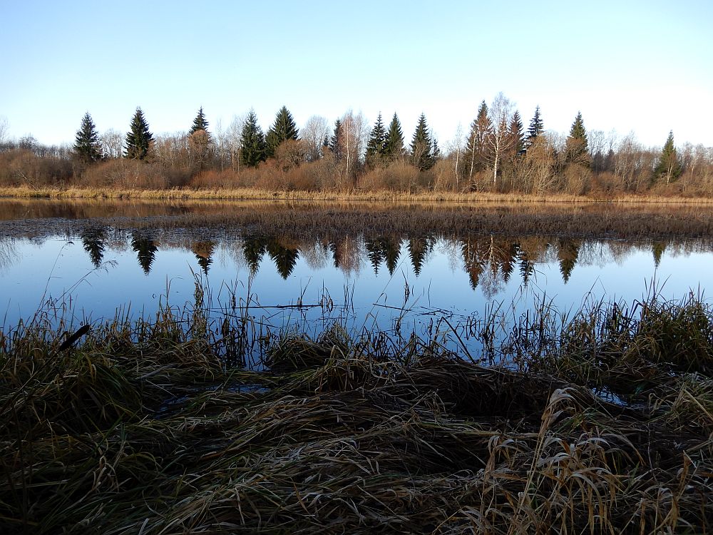 Painküla paisjärv esmaspäeval 