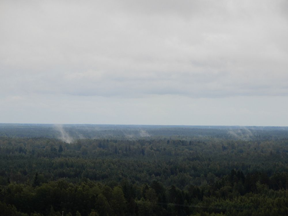 Vihmamärg  mets  aurab 