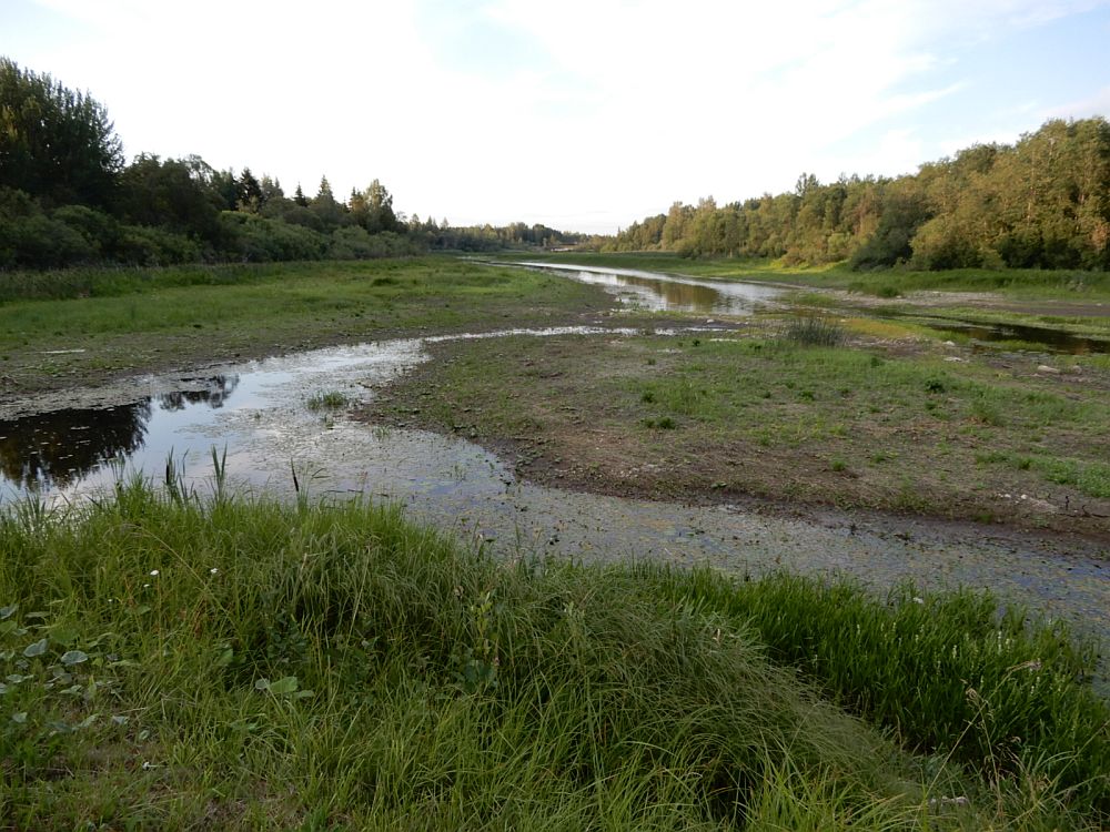 Painküla paisjärv on veest tühjaks lastud 