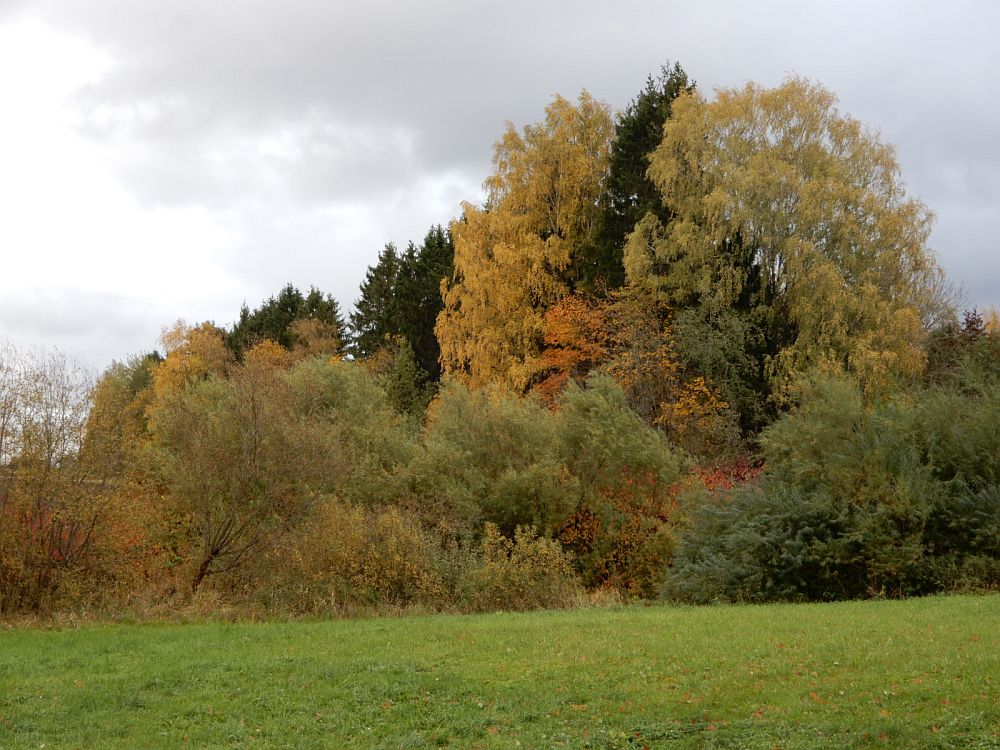 Sügisvärvid nädala keskpaiku 